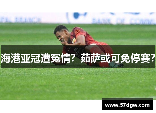 海港亚冠遭冤情？茹萨或可免停赛？