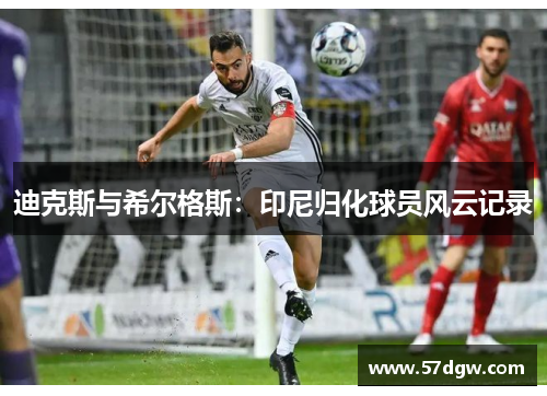 迪克斯与希尔格斯：印尼归化球员风云记录